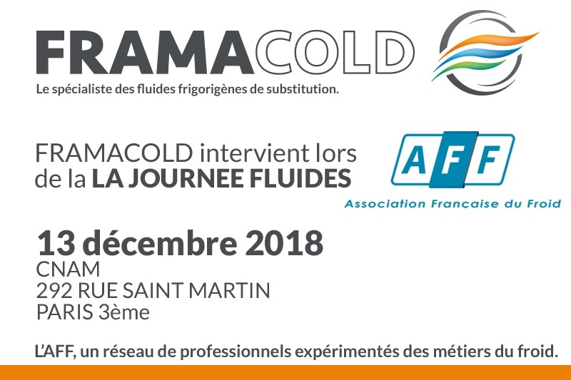 La Journée Fluides du 13 décembre 2018 initiée par la commission Fluides de l'AFF 