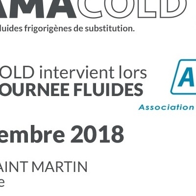 La Journée Fluides du 13 décembre 2018 initiée par la commission Fluides de l'AFF 