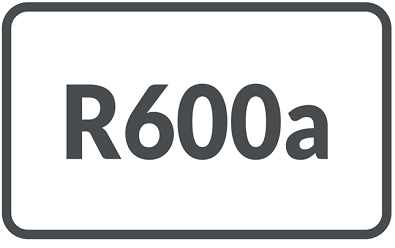 R600A Froid Domestique